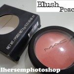 Blush Peaches da Mac